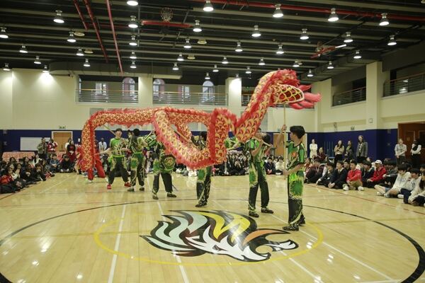 Spring Festival,Hiba Academy Hangzhou