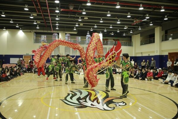 Spring Festival,Hiba Academy Hangzhou