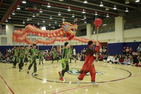 Spring Festival,Hiba Academy Hangzhou