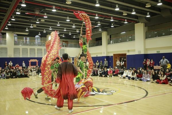 Spring Festival,Hiba Academy Hangzhou