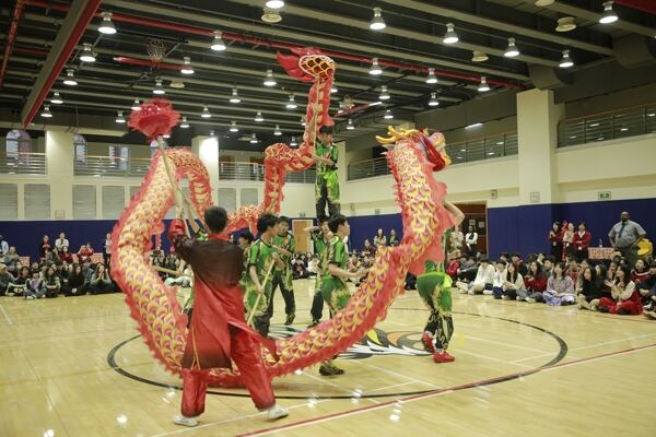 Spring Festival,Hiba Academy Hangzhou