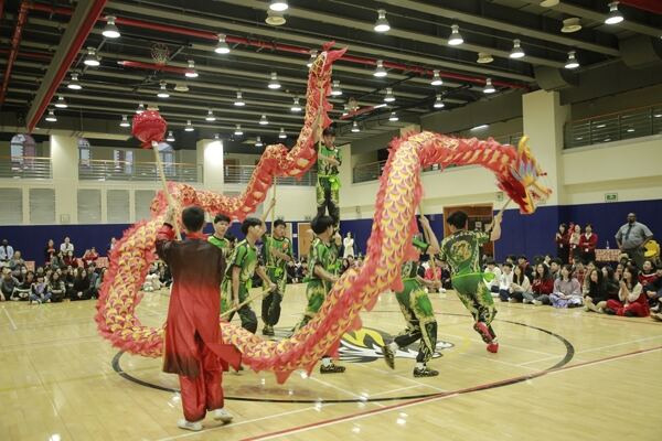 Spring Festival,Hiba Academy Hangzhou