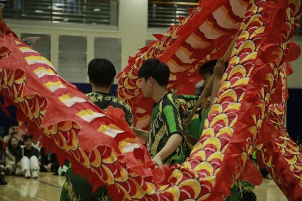 Spring Festival,Hiba Academy Hangzhou