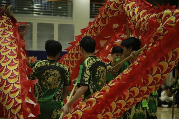 Spring Festival,Hiba Academy Hangzhou