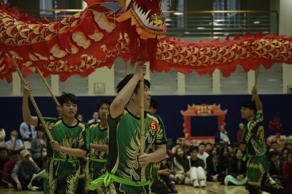 Spring Festival,Hiba Academy Hangzhou