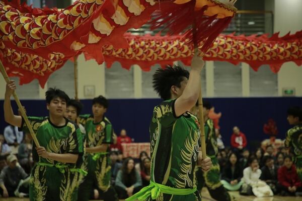 Spring Festival,Hiba Academy Hangzhou