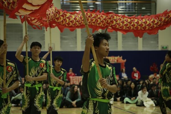 Spring Festival,Hiba Academy Hangzhou