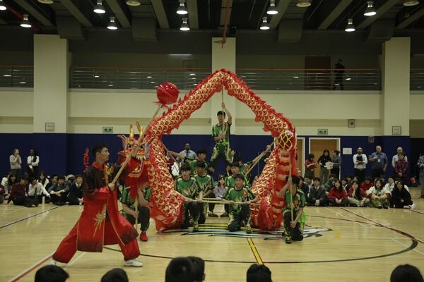 Spring Festival,Hiba Academy Hangzhou