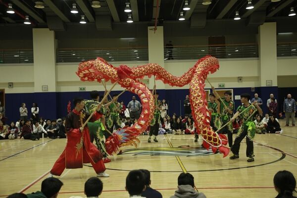 Spring Festival,Hiba Academy Hangzhou