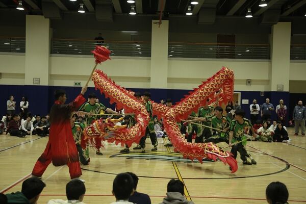 Spring Festival,Hiba Academy Hangzhou