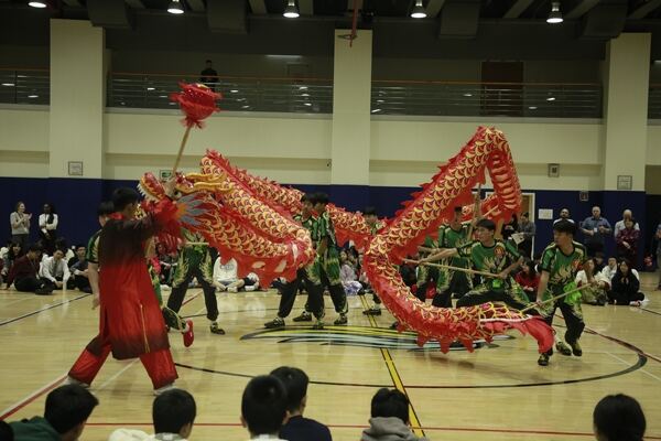 Spring Festival,Hiba Academy Hangzhou