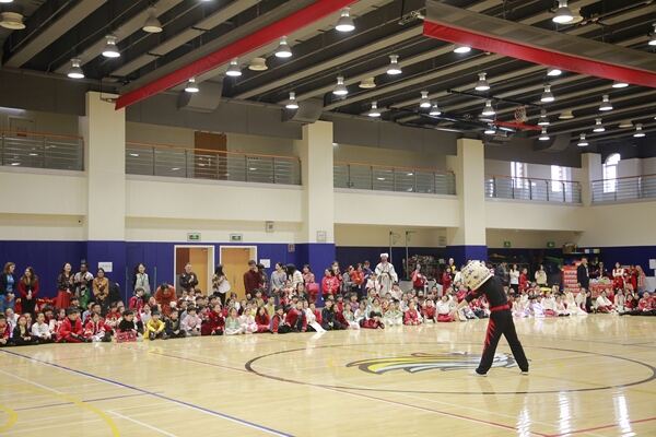 Spring Festival,Hiba Academy Hangzhou