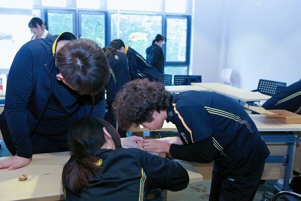 Primary Field Trip,Hiba Academy Hangzhou