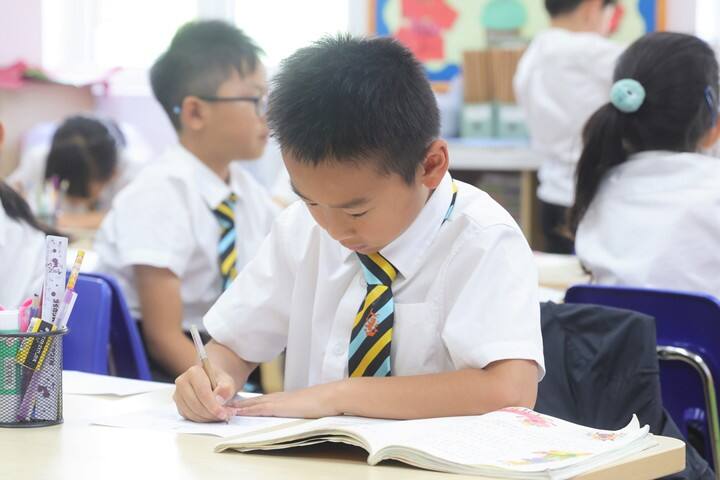 这是网站层级的中文ALT描述