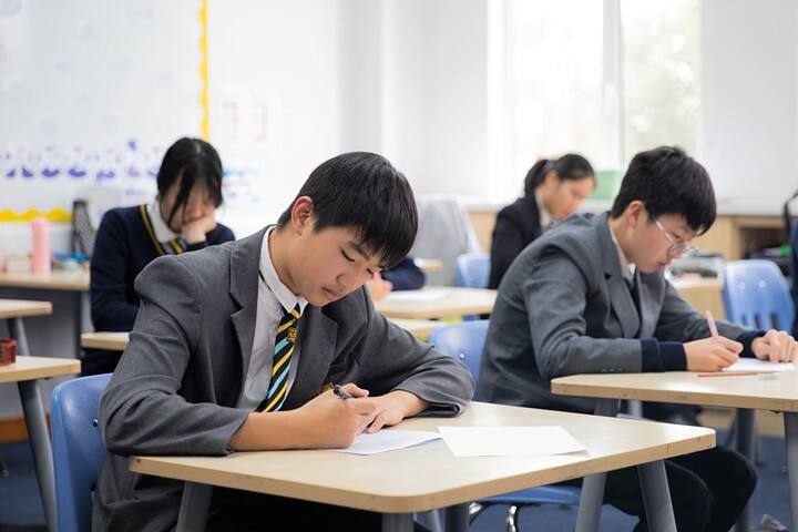 这是网站层级的中文ALT描述