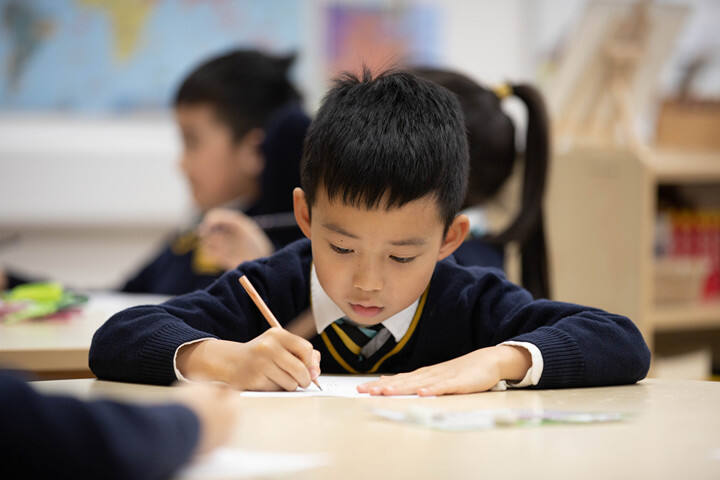 这是网站层级的中文ALT描述