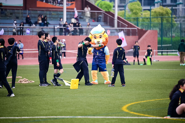 惠立小学4-6年级运动会,杭州市萧山区惠立学校