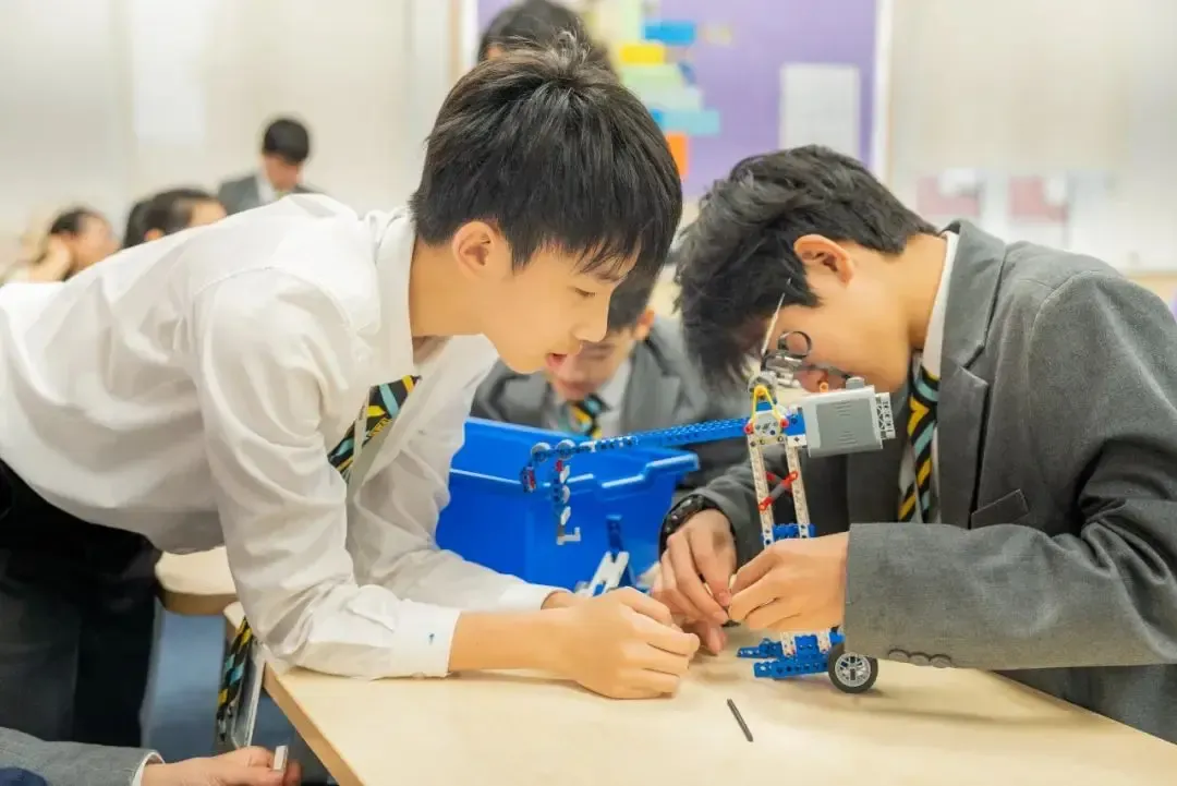 课外辅助课程：探索缤纷世界，追寻心中所爱
