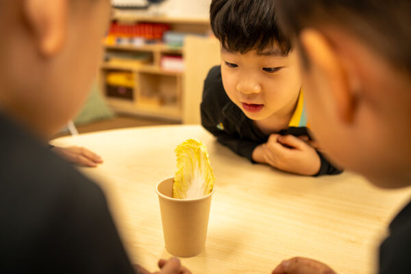 惠立小学部科学周,杭州市萧山区惠立学校