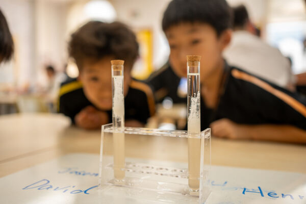 惠立小学部科学周,杭州市萧山区惠立学校