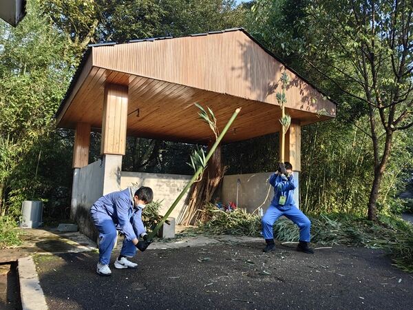 “变革者之周”研学之旅,杭州市萧山区惠立学校
