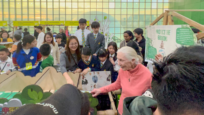 根与芽,杭州市萧山区惠立学校