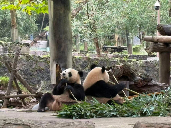 变革者之周,杭州市萧山区惠立学校