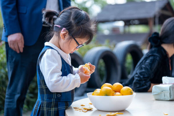 Double 9th Festival,Hiba Academy Hangzhou Nursery