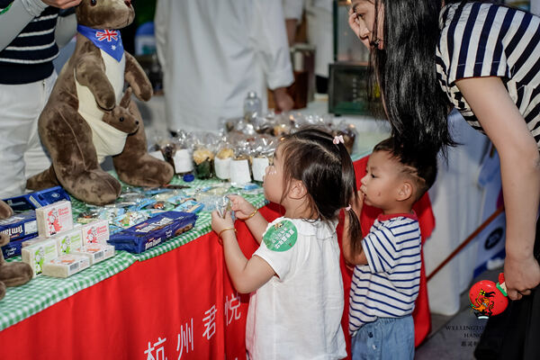 2024 Wellington College Hangzhou Summer Carnival,Hiba Academy Hangzhou Nursery