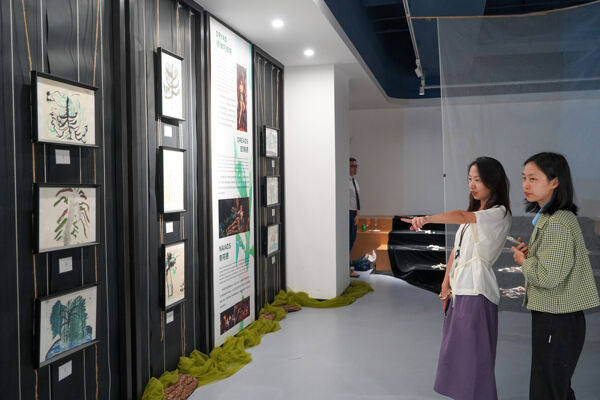 HNH Art Exhibition Opening Ceremony,Hiba Academy Hangzhou Nursery