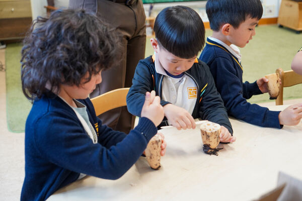 Science Week,Hiba Academy Hangzhou Nursery