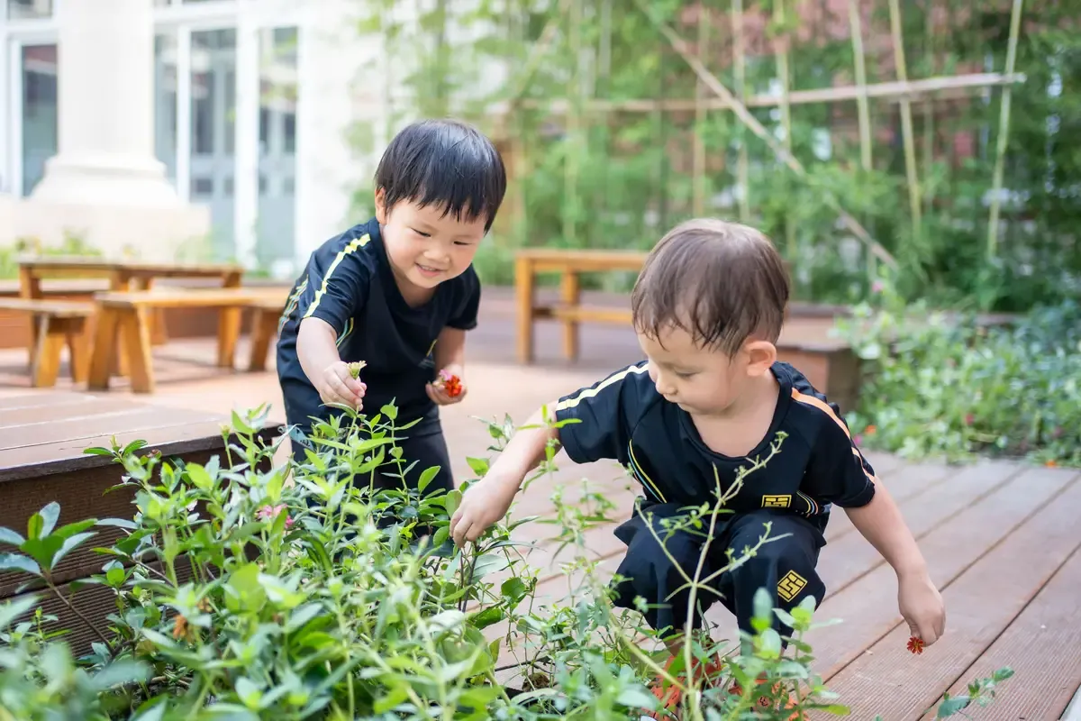 Sustainability Begins with Small Hands