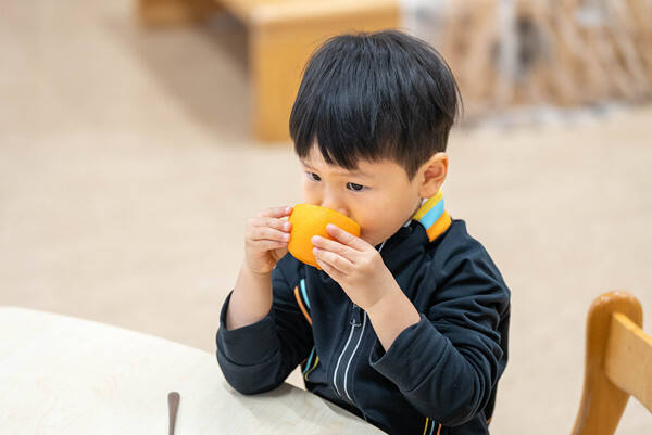 杭州惠立幼儿园冬至主题活动,杭州市萧山区惠立幼儿园