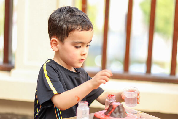 科学周,杭州市萧山区惠立幼儿园