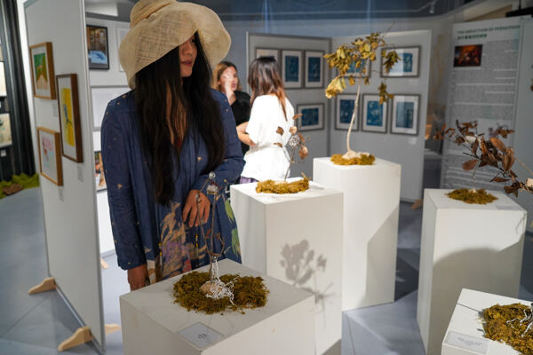幼儿园艺术展开幕式,杭州市萧山区惠立幼儿园
