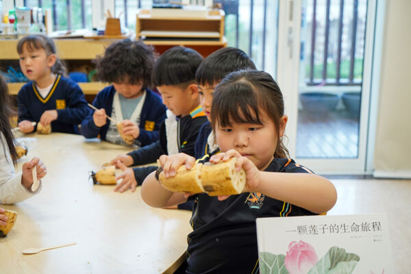 科学周,杭州市萧山区惠立幼儿园