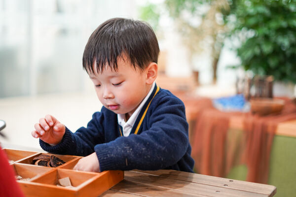 数学周,杭州市萧山区惠立幼儿园