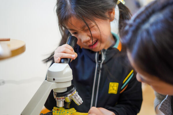 数学周,杭州市萧山区惠立幼儿园