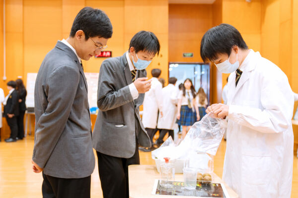 Senior School Science Fair,Wellington College International Tianjin