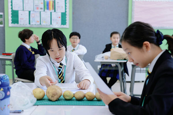 Grade 6 - 中文社会研习,南通惠立学校