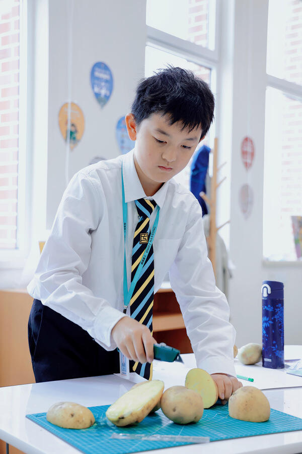 Grade 6 - 中文社会研习,南通惠立学校