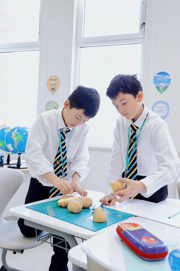 Grade 6 - 中文社会研习,南通惠立学校