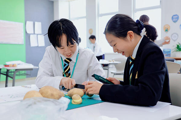  Grade 6 - Chinese Social Study,Hiba Academy Nantong