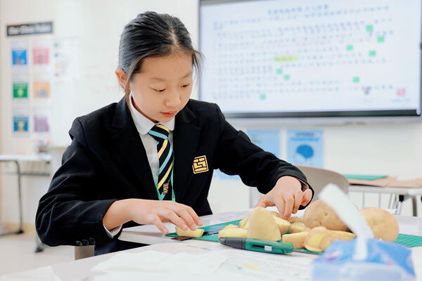  Grade 6 - Chinese Social Study,Hiba Academy Nantong