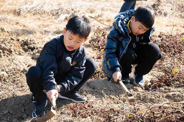 Adventure Trip - Grade 1,Hiba Academy Nantong