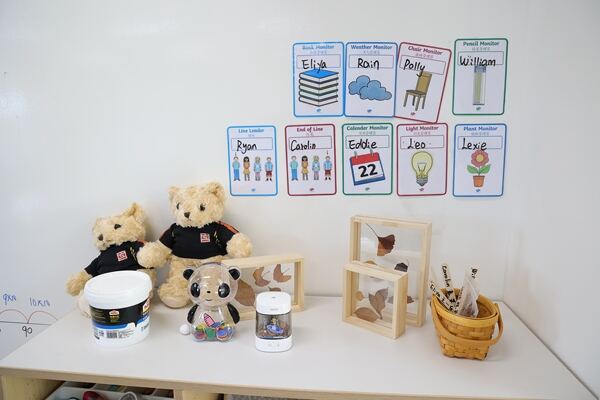 Grade 2 - Theme,Hiba Academy Nantong