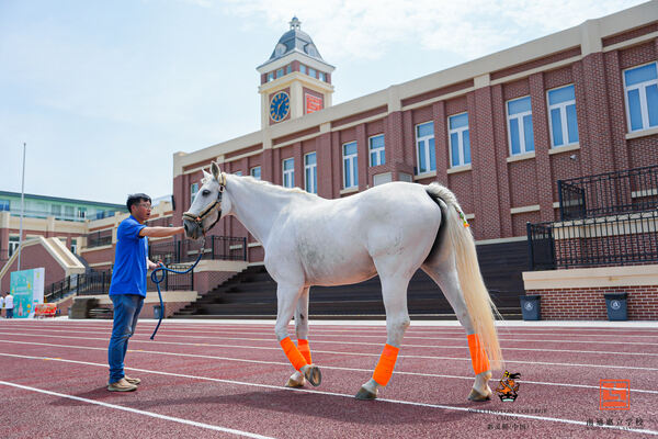Summer Carnival,Hiba Academy Nantong