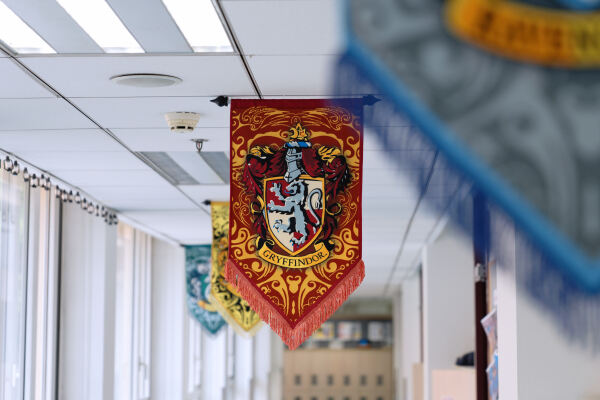 Harry Potter Day,天津惠灵顿外籍人员子女学校