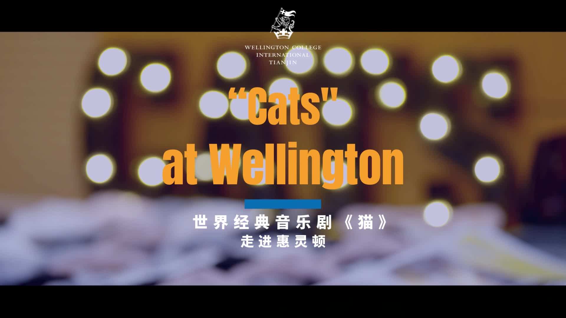 音乐剧《猫》进校园