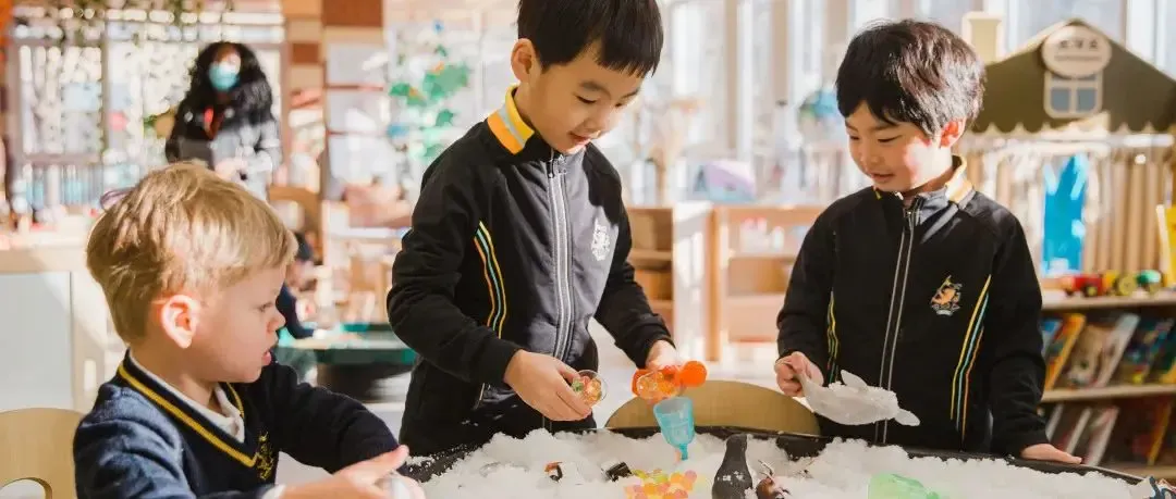 惠灵顿幼儿园 | 为爱守护，萌宝归来